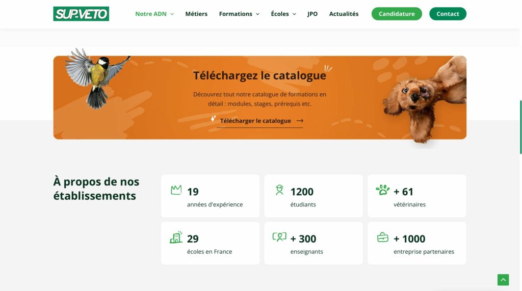 Illustrations personnalisées site supveto