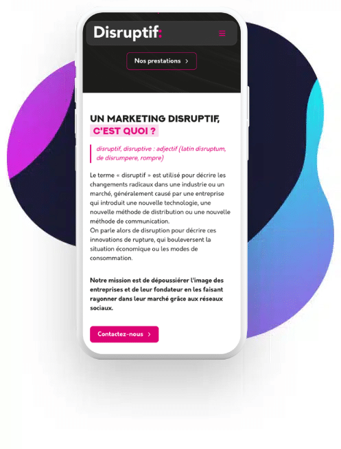 agence seo Pau référencement naturel